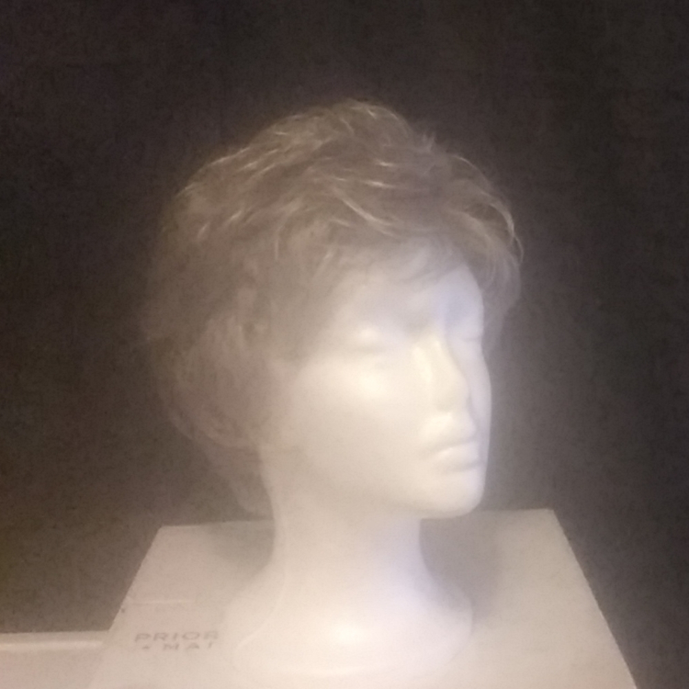 NWT Silver Wig